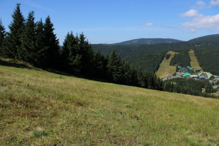 Ačkoli encyklopedie směřují výskyt hořečku nahořklého hlavně do nižších poloh, tady roste zhruba v rozmezí od 1000 až po 1150 metrů nad mořem.