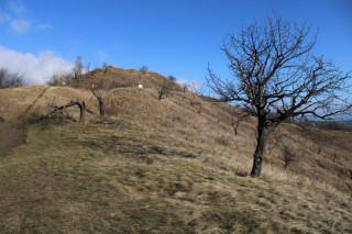 Poté, co Blšanský chlum opustili vojáci, se přistoupilo k jeho ochraně. Nejprve byl významným krajinným prvkem, následně se stal přírodní památkou. Teď ještě navíc patří do soustavy Evropsky významných lokalit.