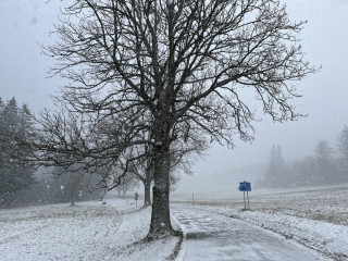 Na křižovatce Vimperk, Paseka, Kvilda